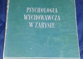 Psychologia wychowawcza w zarysie - Stefan Baley