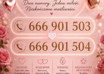 666_901_50X Złoty Numer Prosty Para Zakochani Mąż i Żona Starter T-Mobile !
