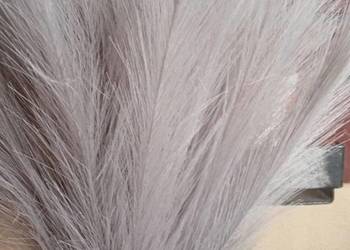 Nowa szara trawa pampasowa 40 sztuk