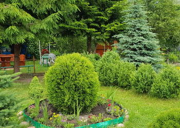 Działka ROD Kalina (ul. Zawilcowa)