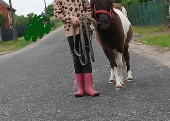 Cudowna Kucynka , ? bezpieczna dla dzieci