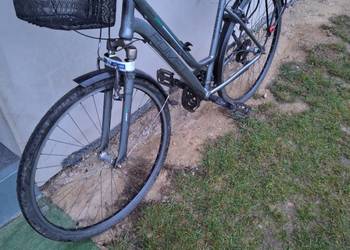 Rower Romet koła 28