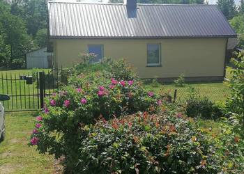 Działka przy lesie, śpiew ptaków szum lasu idealnie do wypoczynku.