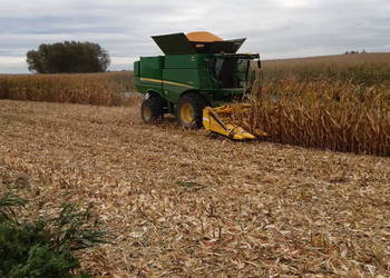 Usługa koszenia kukurydzy kombajnem John Deere S780