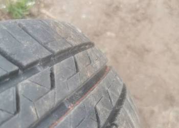 Opona Firestone 175/65 R14