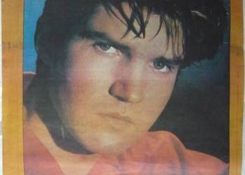 PLAKATY - LLOYD COLE - WYPRZEDAŻ ŚWIAT PLAKATÓW