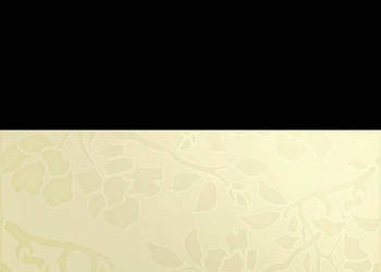 Płytka Tessita bianco Inserto A 30 x 60, Paradyż, płytki, kafelki, flizy