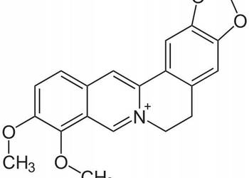Berberyna Czysta Berberin Flavonoid 50g >98%