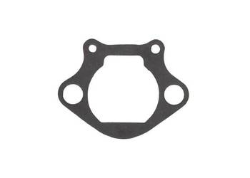 Uszczelka kolektora ssącego 110612211