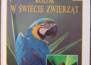 Kolor w świecie zwierząt (Morgan)