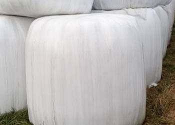 Sprzedam siano kiszonkę