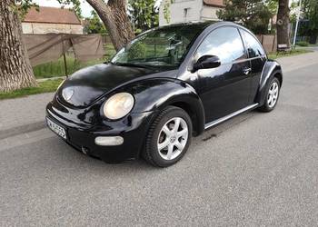 Volkswagen New Beetle 1.6 102KM 2002r