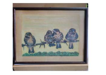 rysunek grafika obraz akwarela ramka ptaszki wróble