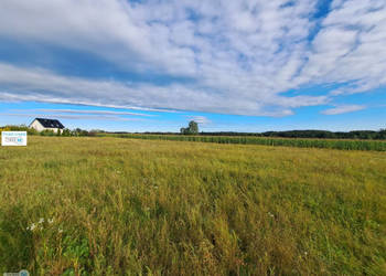 Grunt 6600m2 Pierzchnica