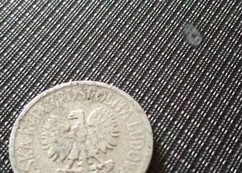 Sprzedam 20 gr 1968 zzm