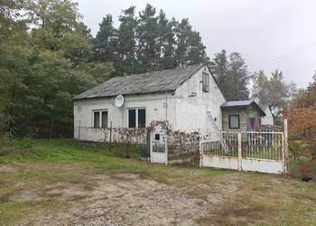 Syndyk sprzeda - Karolew