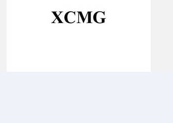 XCMG 3Y252J, 3Y152J instrukcja obsługi PL DTR