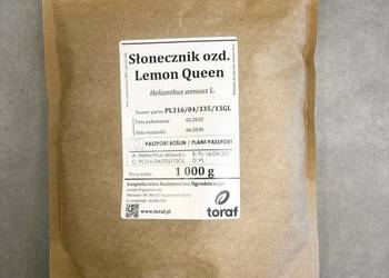 Słonecznik ozdobny Lemon Queen nasiona