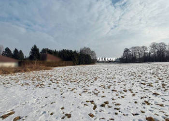 Cholerzyn - działki budowlane 16,5 ara