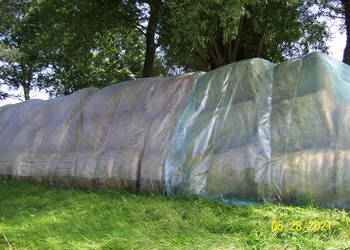 siano suche dla koni możliwy transport