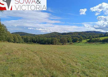 4 działki pod lasem w sąsiedztwie Boreczna