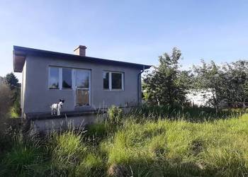 Działka rekreacyjna ROD/ 325m2 / pow. użytkowa 29m2 / podpiwniczone