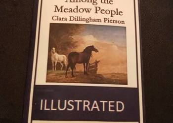 Among the meadow people illustrated. Po angielsku!