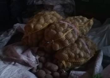 Ziemniaki