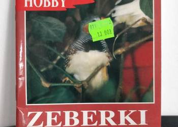 Książka, zwierzęta, ptaki – Zeberki i Mewki.