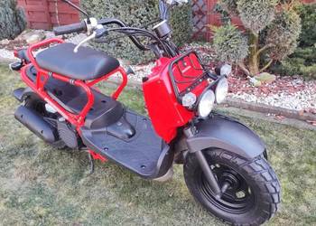 Honda Zoomer Ruckus NPS 50