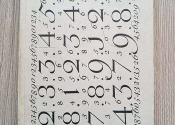 Hierarchie i sylwety - Wojciech Natanson