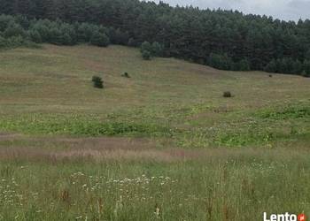 Bieszczady grunt sprzedam