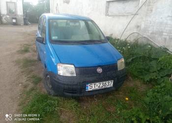 Panda 11 plus gaz