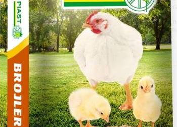 Pasza Brojler Starter Piast 25kg – Szybki i Zdrowy Wzrost!