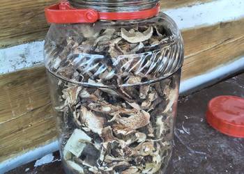 Sprzedam grzyby suszone