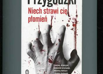 Niech strawi cię płomień - Błażej Przygodzki