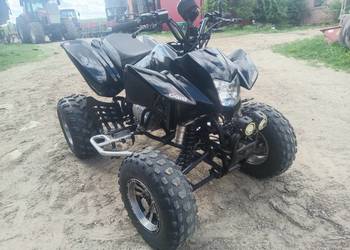bashan eagle 250 nowe opony tyl transport