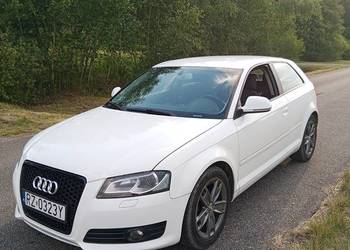 Audi A3 8P 1.6 TDI