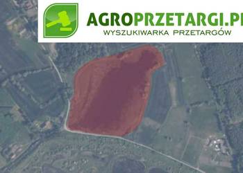 Dzierżawa 6,29 ha jeziora