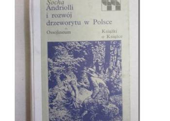 Socha - Andriolli i rozwój drzeworytu w Polsce /fa