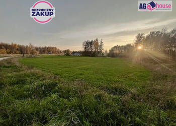 Grunt 2346m2 Pomlewo Kasztanowa