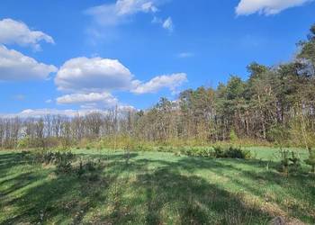 Działka budowlana 1000M2; WZ; BRZÓZA