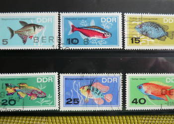 Znaczki DDR - ryby