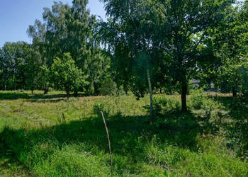 Działka budowlana 1019m2, Grądy k. Żyrardowa