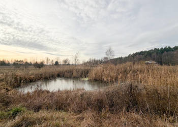 Działka rolna 0,84 ha Turka, gmina Dorohusk
