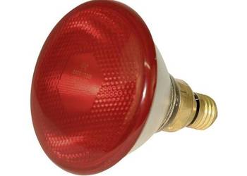 Econ, promiennik podczerwieni 175W czerwona 22247KER