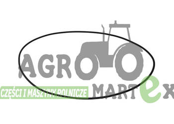 371145A1, CA0028649 ORING CNH