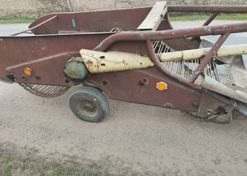 Kopaczka dwurzędowa