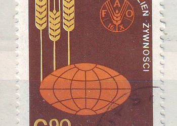 Zn. Fi 2628 kas 1981