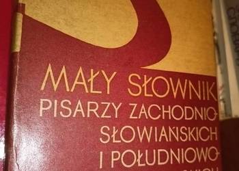 Mały słownik pisarzy książki outlet księgarnia unikat Praga